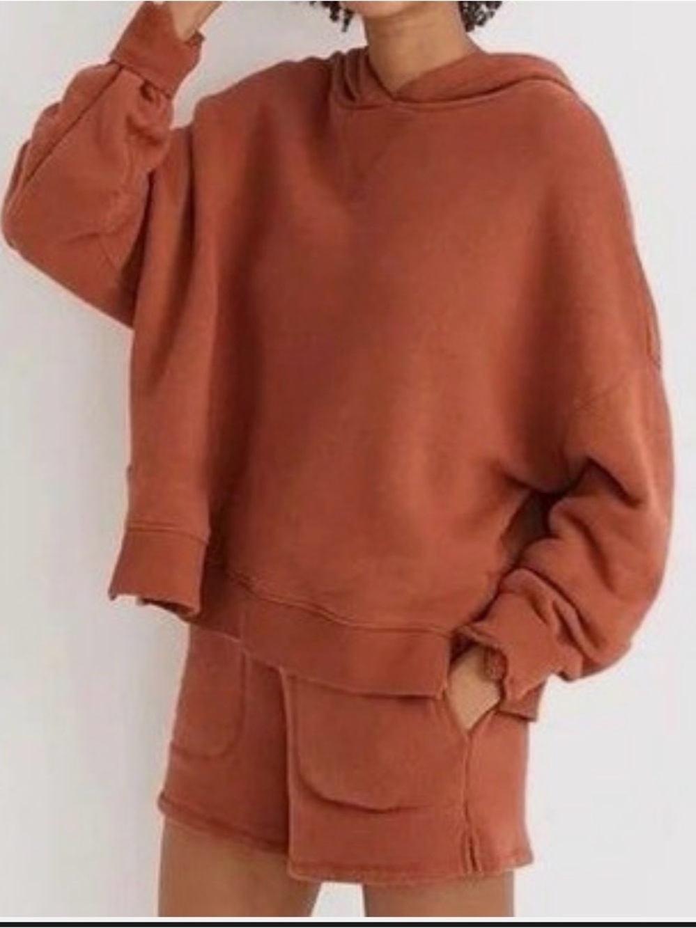 Madewell MWL AiryTerry Hoodie Sweatshirt, Terracotta, 100% Cotton, Size L